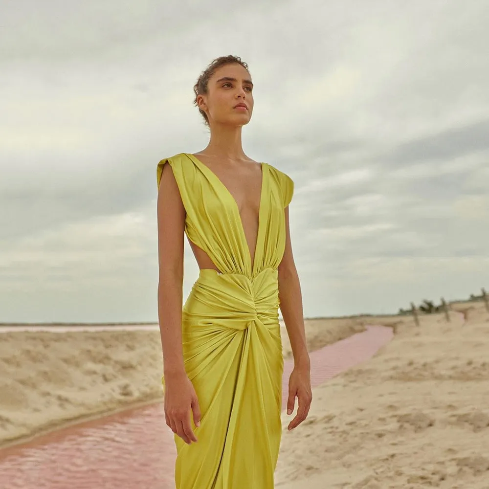 Deep V Sleeveless Backless Party Dress, lioness-love