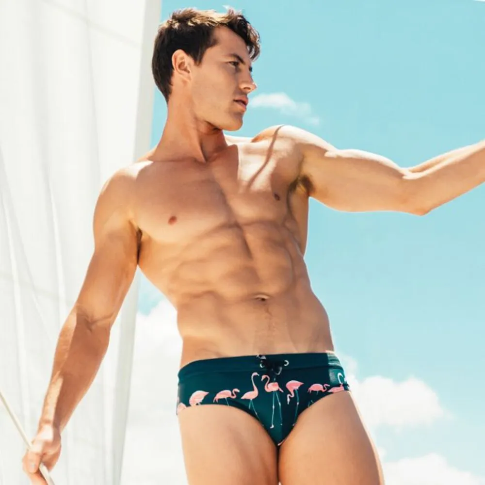 Flamingo Swim Briefs