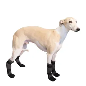 Whippet Dog Booties
